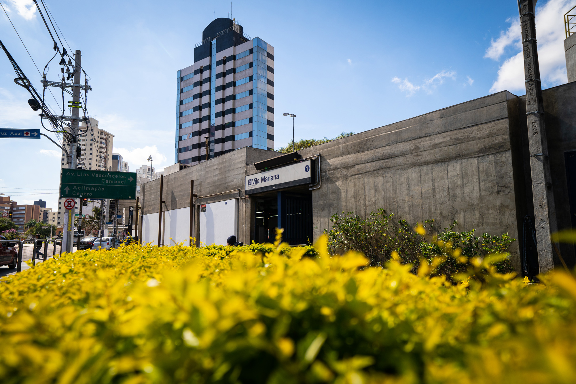 Estação de Metrô Vila Mariana, Linha Azul